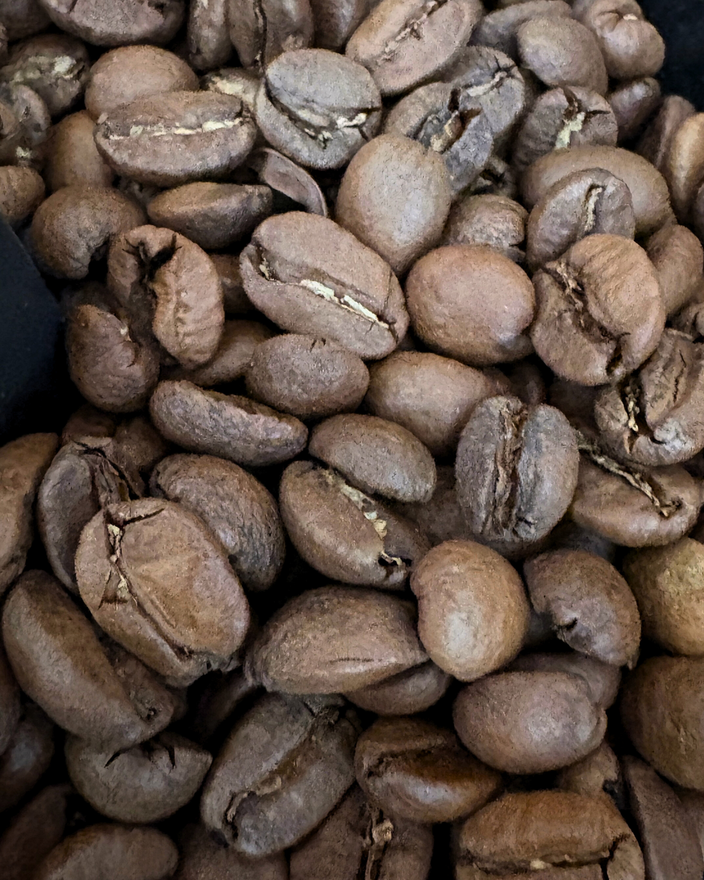 Foundry Blend Coffee | Born & Bred