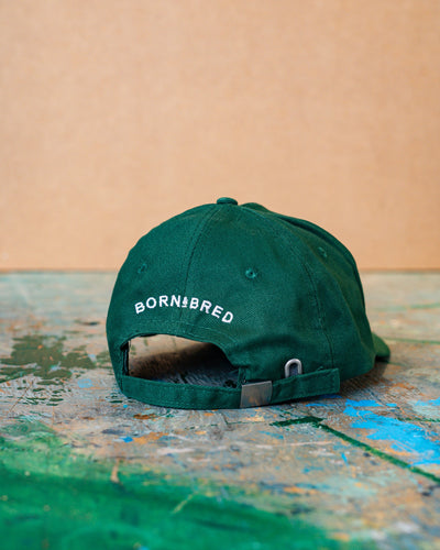 Sláinte Pint Baseball Cap | Born & Bred